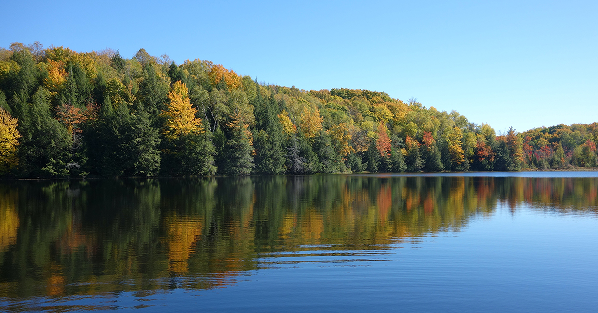 Pêcher la carpe : pour ou contre les amorçages massifs ?