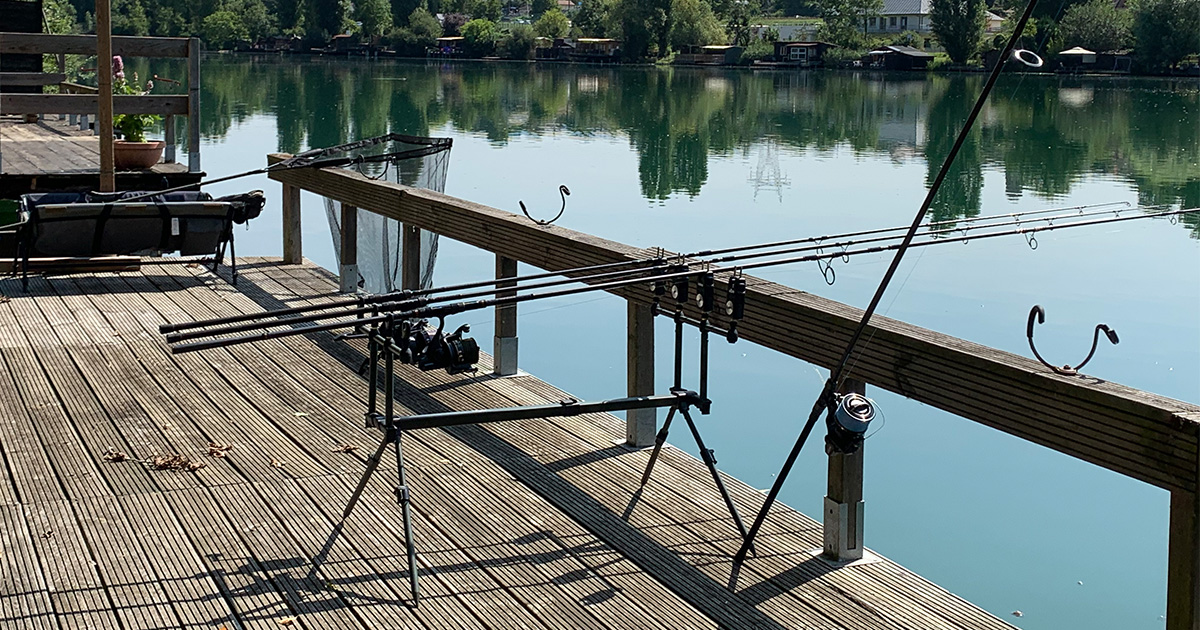 Pêcher la carpe : piques ou rodpod ?